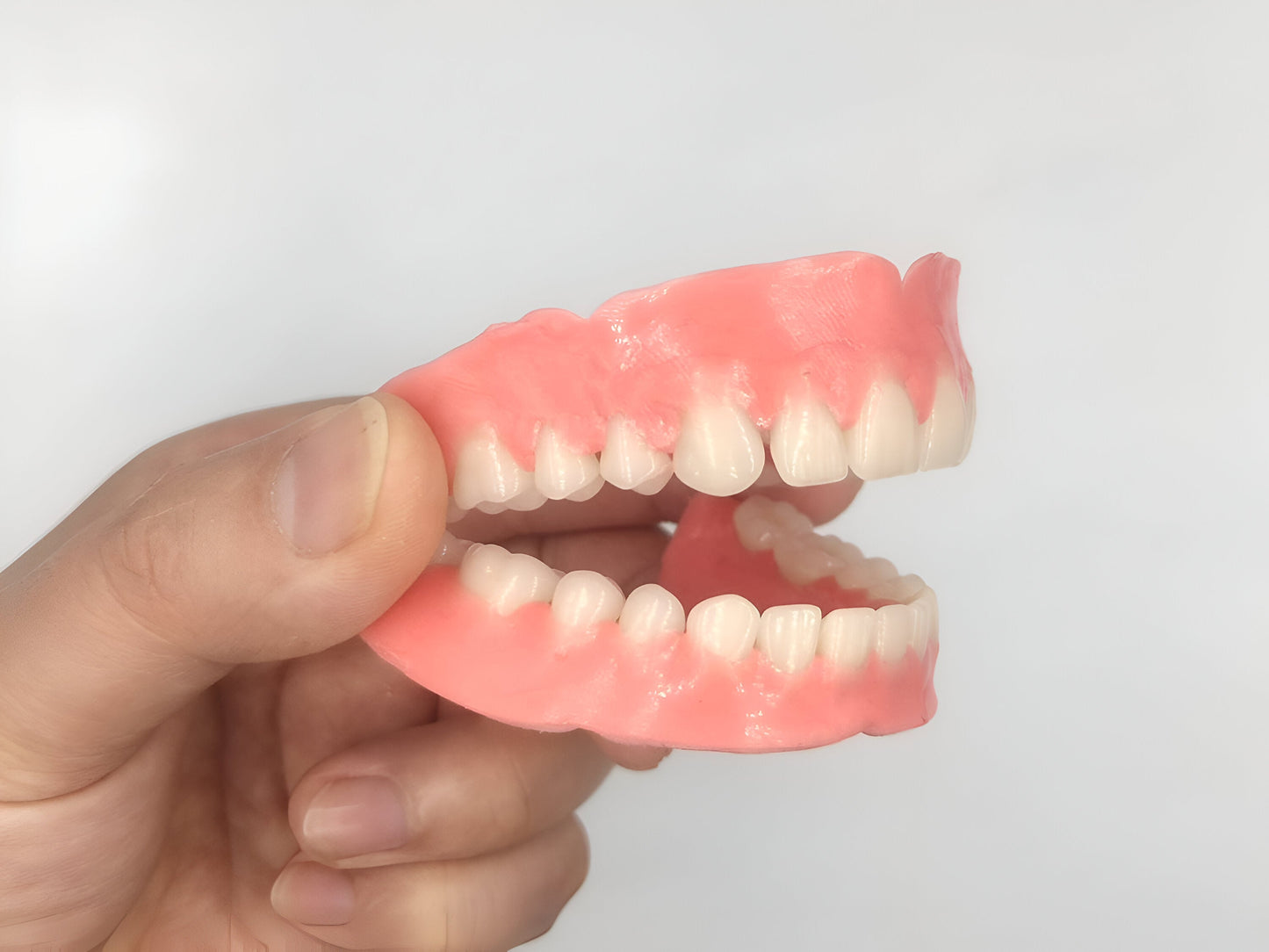 Zooxic™ - Denture Set