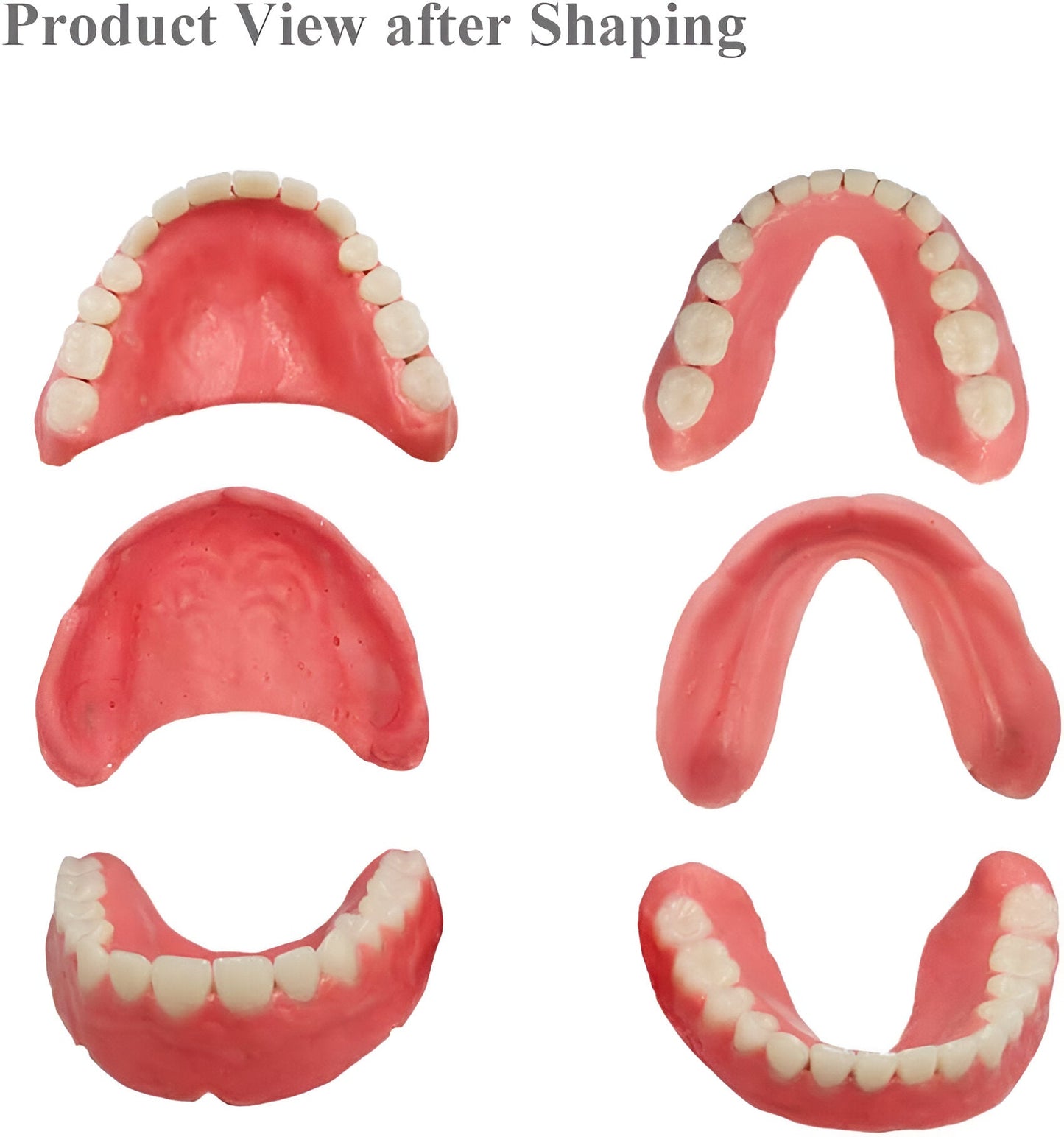 Zooxic™ - Denture Set