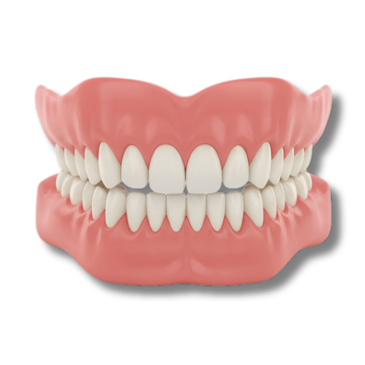 Zooxic™ - Denture Set